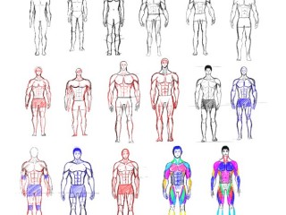 자연, 인체를 어떻게 보나(2)