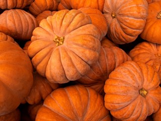 호박 - 당뇨병환자나 비만에