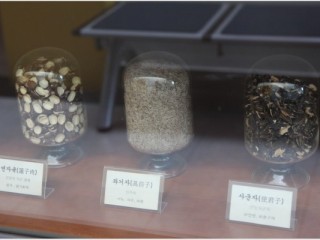 몸에 맞게 먹으면 최고 보약