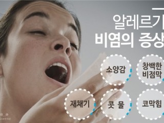 알레르기 비염