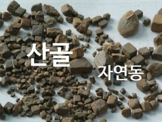 산골(자연동)-부러진 뼈에