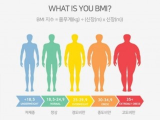 과잉 체지방 문제점은