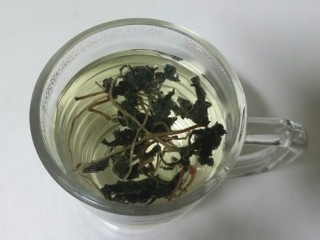 신경성위장병엔 '머위차'