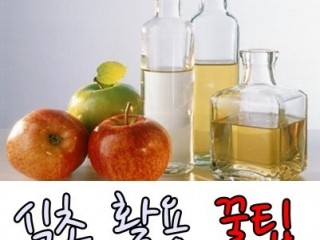 식초 건강상식