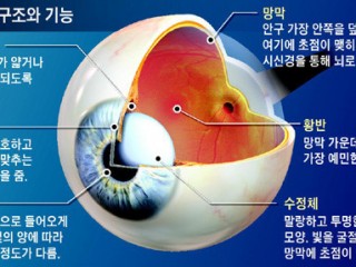 눈 - 희노애락 드러내는 마음의 창