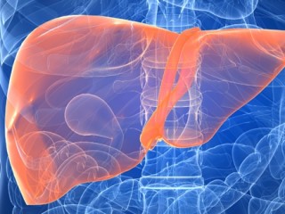 간장이 피로할 때