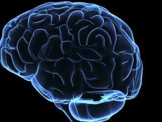 급속히 떨어지는 기억력