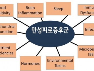 '만성피로 증후군'의 원인과 대책