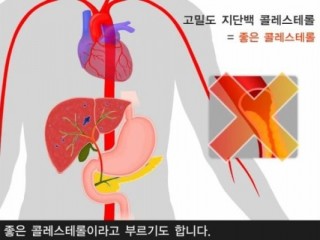 지방질 많은 음식 피해야