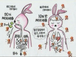 몸에 해로운 것 알면서도 실천하기 힘든...