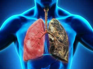 폐(2) - 바람직한 심호흡은 건강 보약