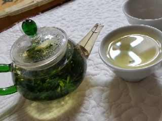 알레르기 체질에 '목련꽃순차'