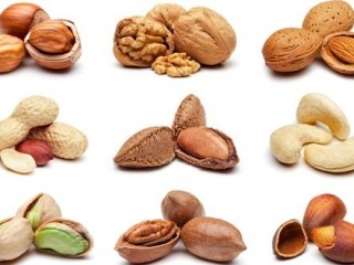 식물성 지방은 건강에 해롭지 않다?