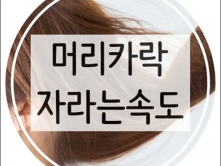 털 - 머리카락 6년간 1m 자라