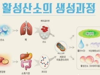 오래 살려면 ‘활성산소’줄여라