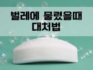 벌레에 물렸을 때