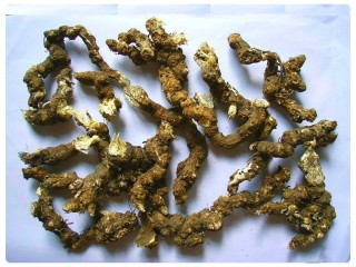 전립선염에 좋은 `익다환'