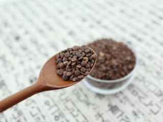 공황장애 - 신대추씨 가루 효과