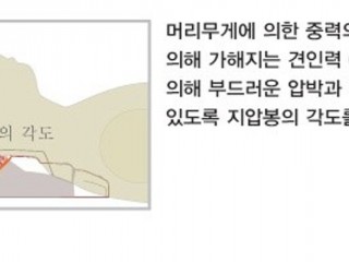 장수베개 '신침법'