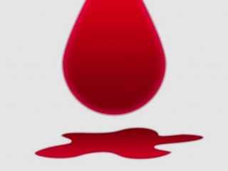 피(2) - 영양소, 산소배달, 병균퇴치