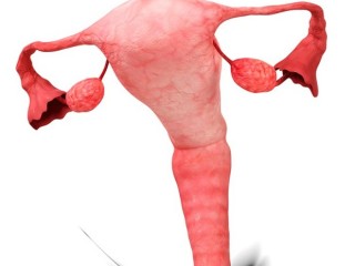 여성 음부소양증