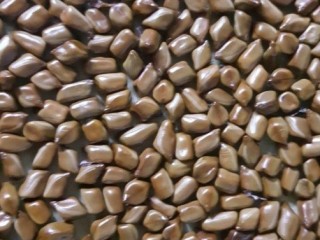 허탈 무기력증 - 녹차 결명자차 도움