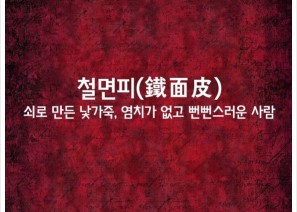 철면피(鐵面皮)