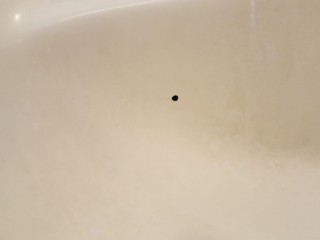 벽에 난 작은 구멍 메우기