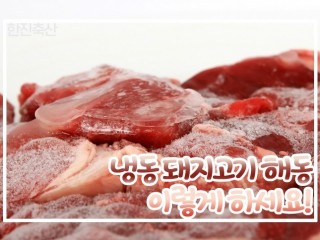 냉동 고기 녹이려면