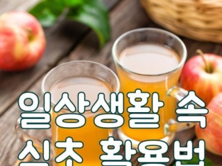 일상생활 속 식초의 활용법
