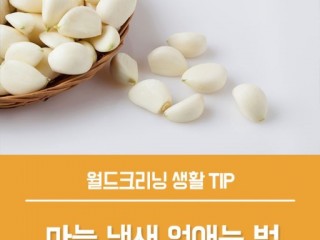 강판에 밴 마늘 냄새 제거