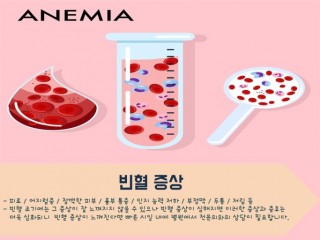 빈혈에는 계란 먹으면 좋아