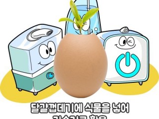 달걀껍데기