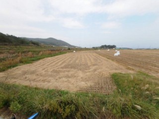 부동산 초보 투자자의 10가지 실수