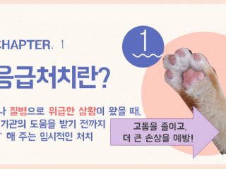 간단한 생활응급처치가 사람을 살린다.