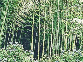 인개고염열, 아애하일장(人皆苦炎熱，我愛夏日長)