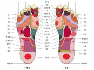 발과 건강