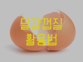 달걀 껍질 활용