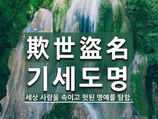 기세도명(欺世盜名)
