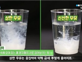 상한 우유 활용 방법