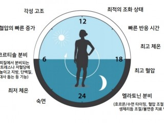 사람의 생체리듬은 25시간