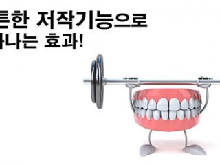 음식을 씹는 힘은 얼나마 될까?