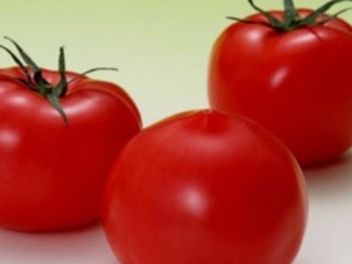 토마토 냉장보관하면 안돼