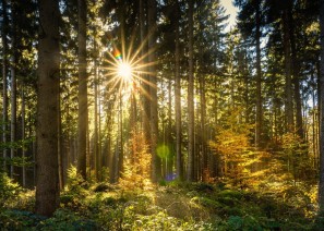 곤곤성지(因困成智)